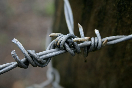 Barbed Wire