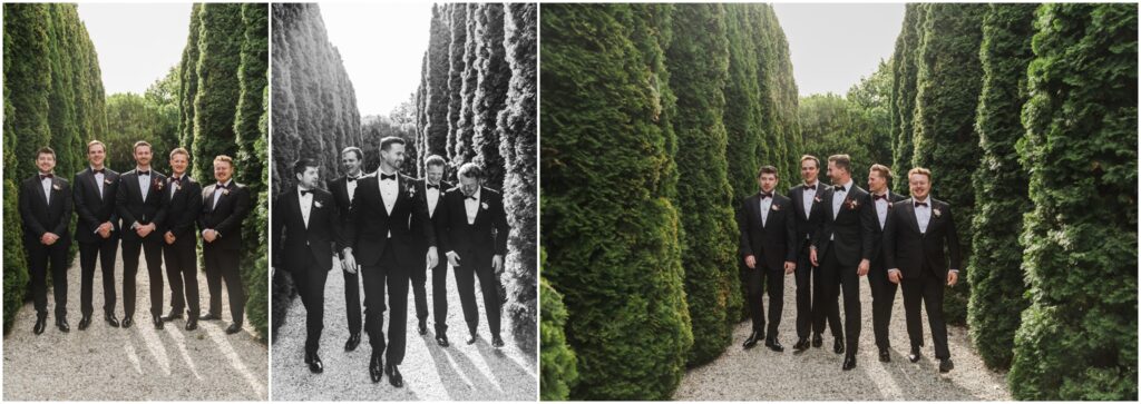 queenstown wedding
