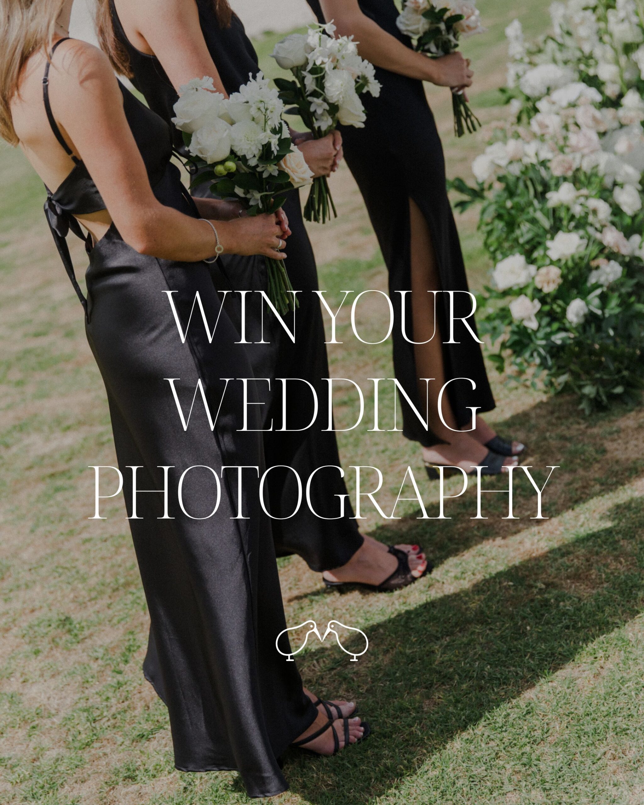 new zealand wedding photography giveaway